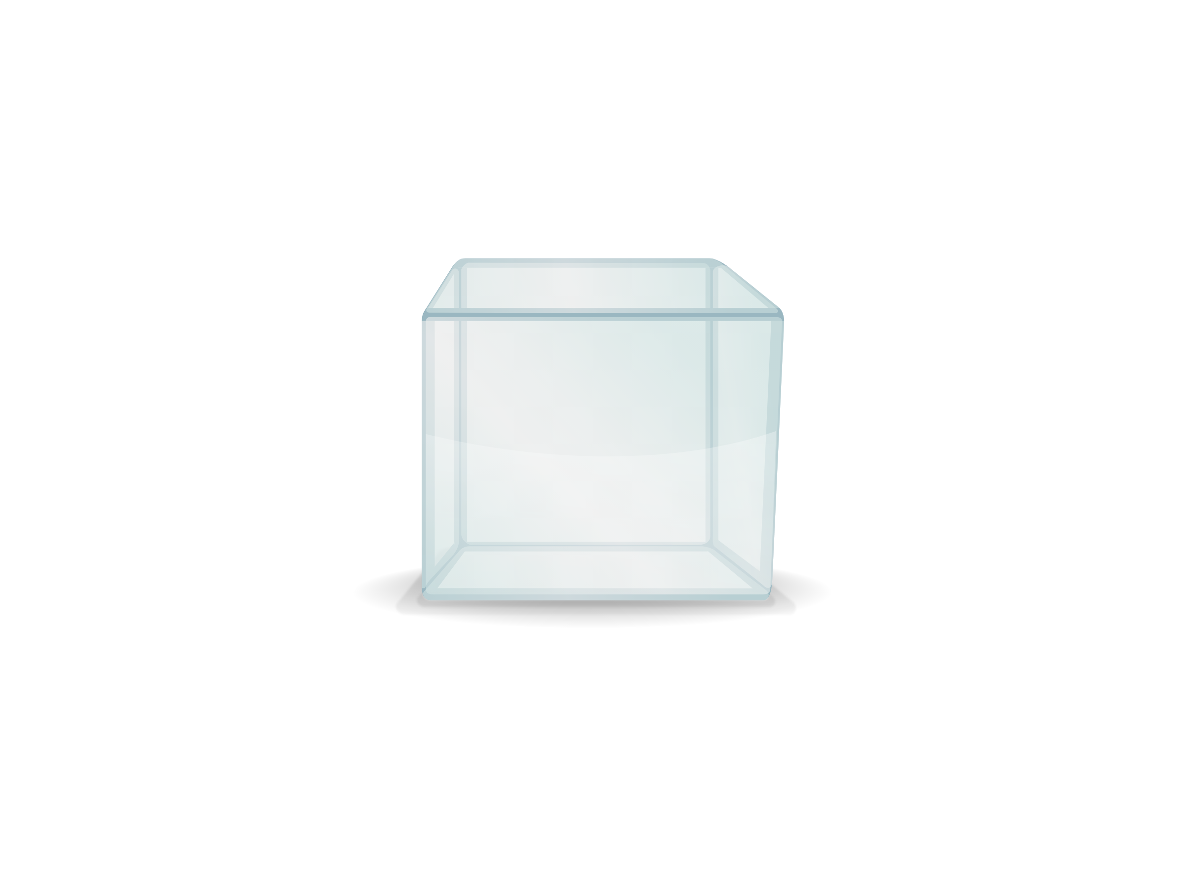 Display Case